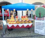 FESTIWAL ZDROWEJ ŻYWNOŚCI JELENIA GÓRA 08.2011