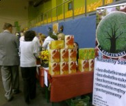 Ślężański Festiwal Rzemiosła, Rękodzieła i Produktu Lokalnego 11-12.12.2010 w Sobótce